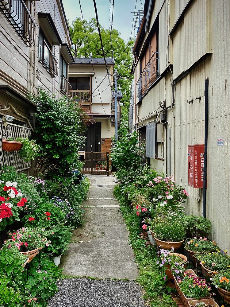Alley full of potted plants in Tokyo, free public domain CC0 photo