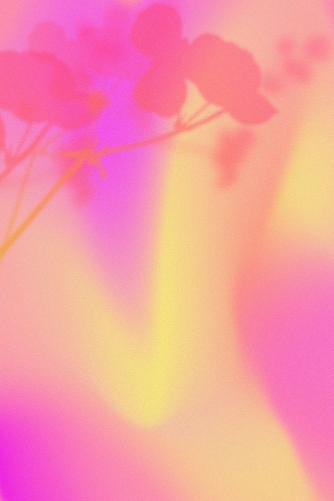 Aesthetic gradient background, floral border, colorful design