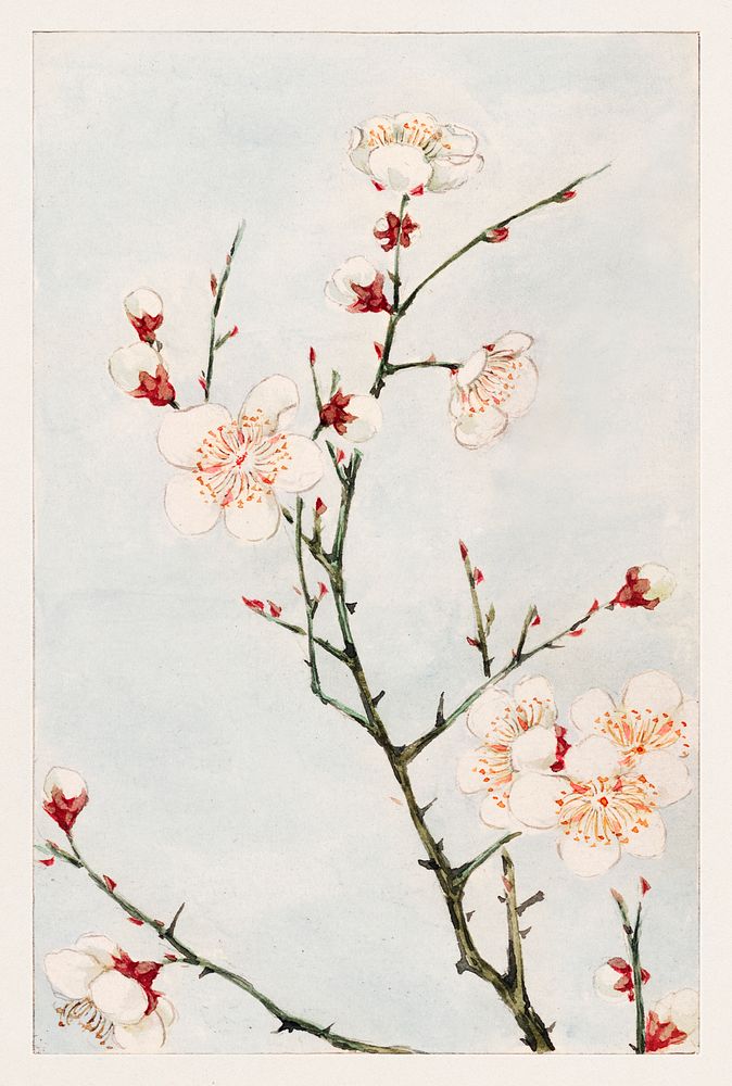 Blossoming Flower - Vintage Japanese Woodblock Print Art Wall Tapestry by  VintageJapaneseArt