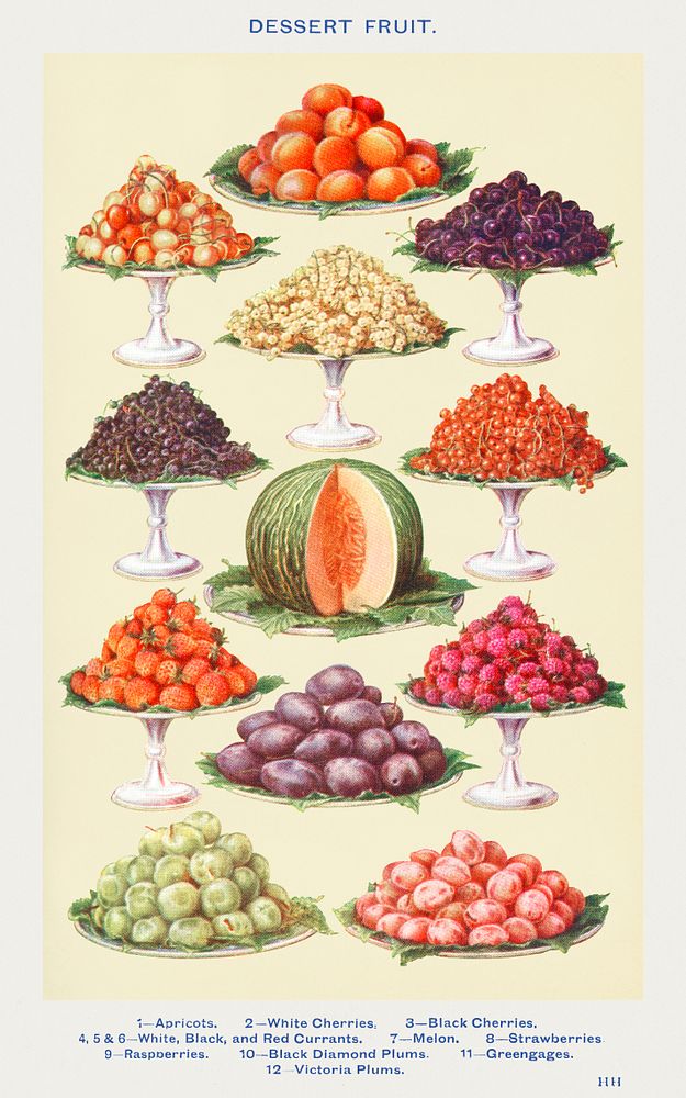 Dessert Fruit: Apricots, White Cherries, Black Cherries, White, Black and Red Currants, Melon, Strawberries, Raspberries…