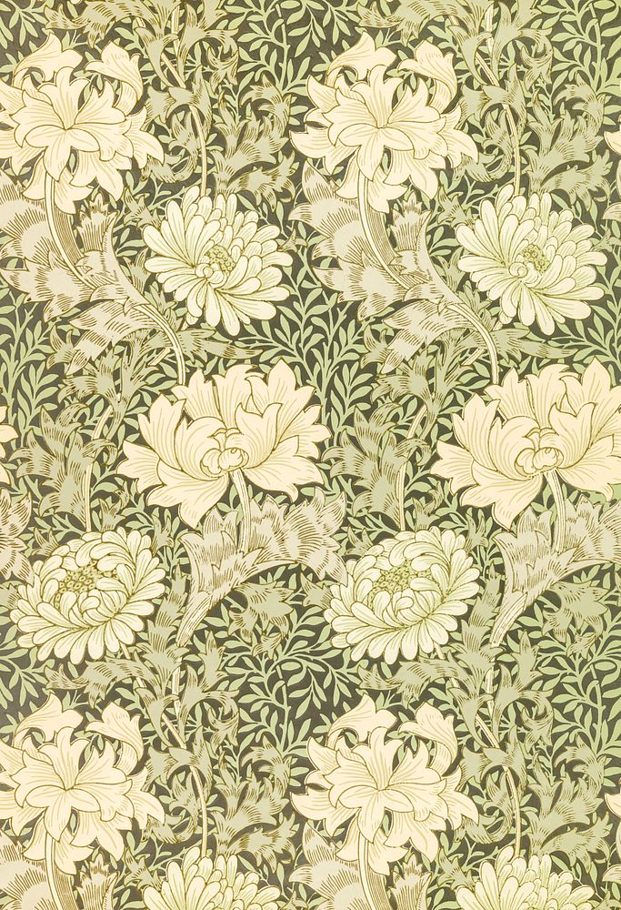 William Morris's Chrysanthemum pattern (1877). Original from The Smithsonian Institution. Digitally enhanced by rawpixel.