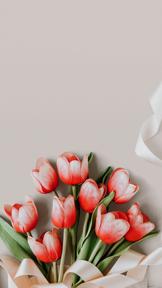 Aesthetic pink iPhone wallpaper, romantic red tulips