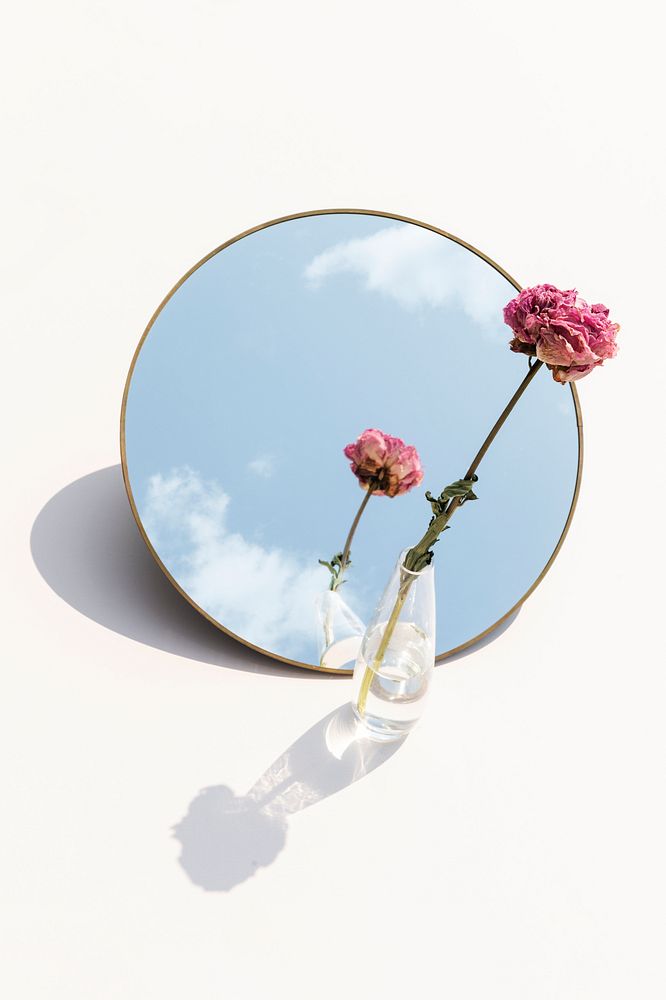 Dried pink peony flower in a clear vase reflected on a mirror