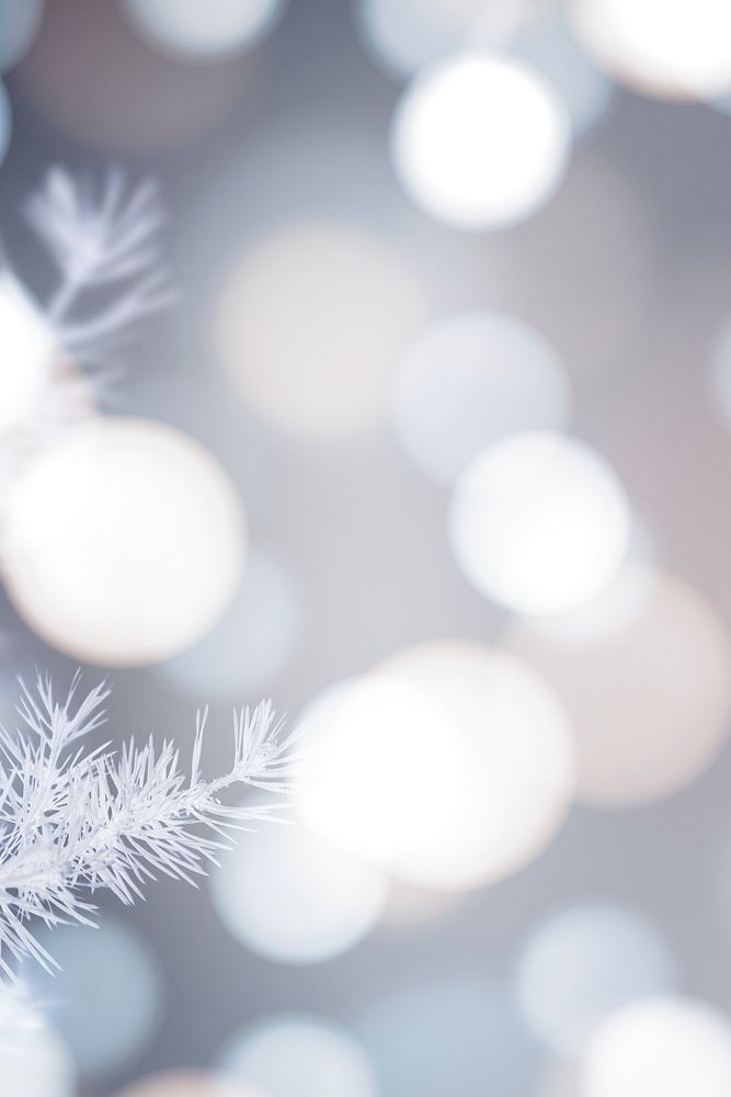 Frosty tree with white bokeh lights background