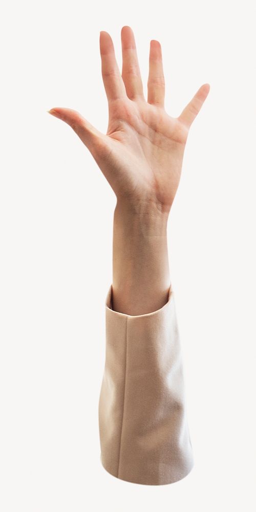 Raising hand image on white background