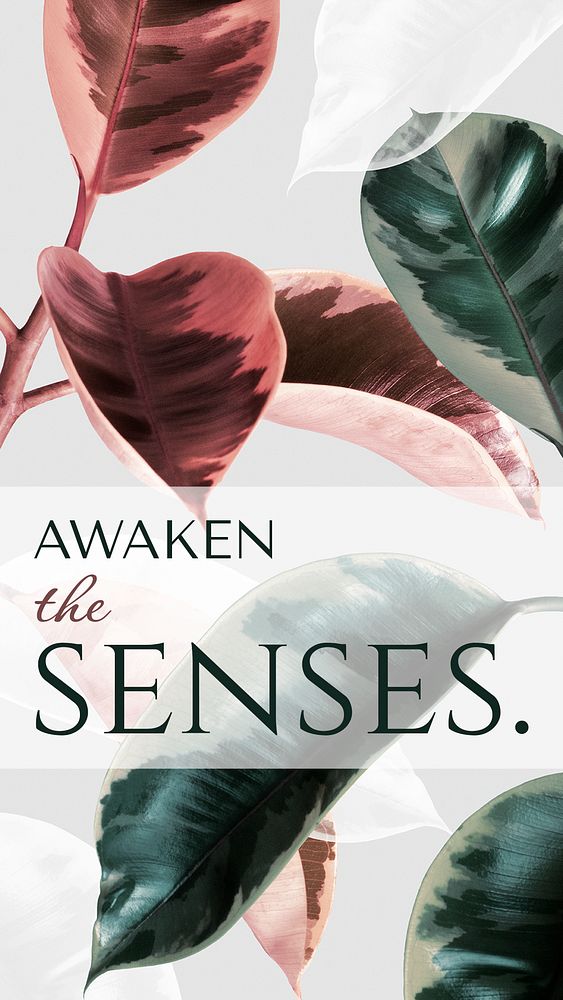 Leaf aesthetic Instagram story template, awaken the senses quote psd