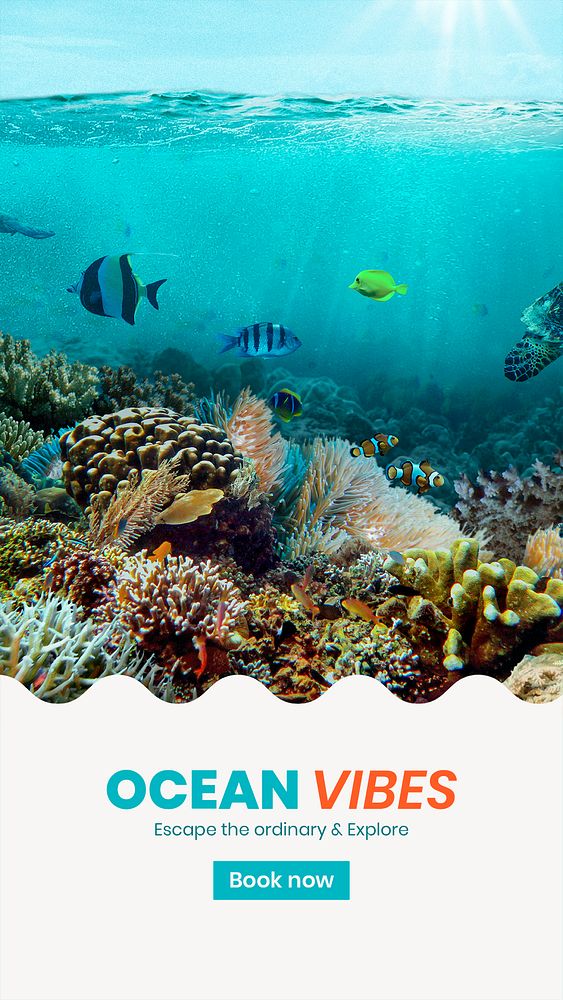 Ocean adventures Instagram story template,  summer travel psd