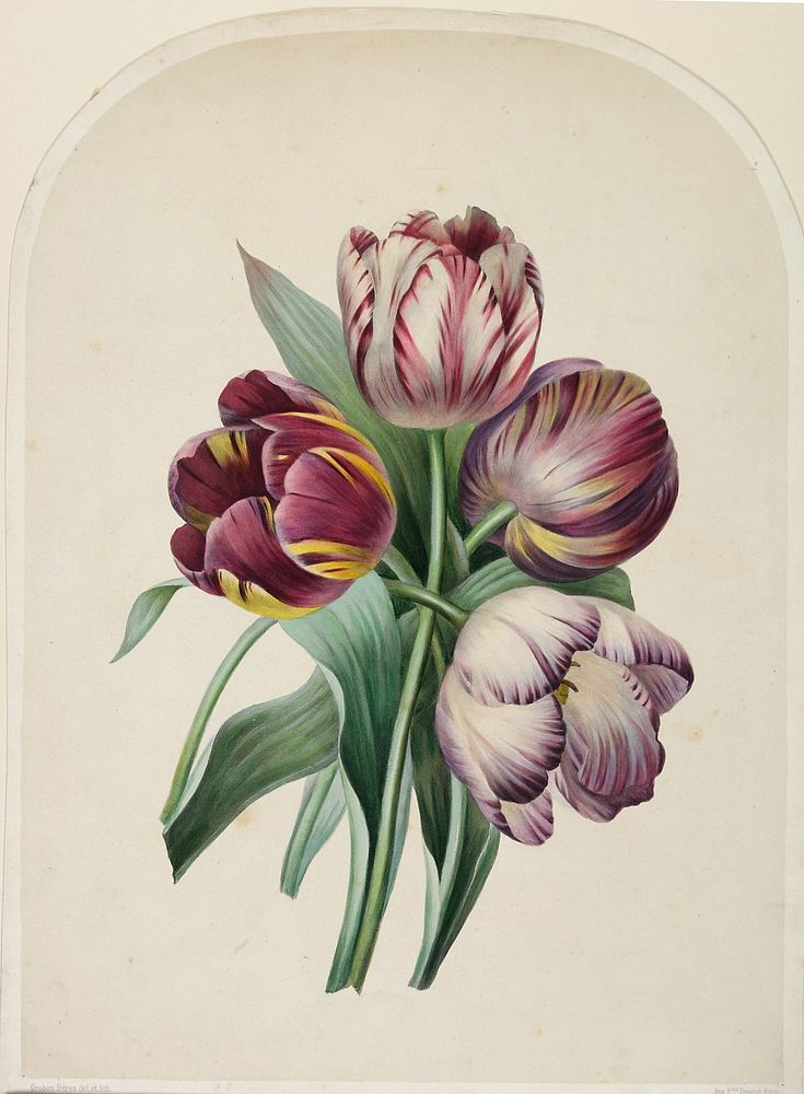 Tulips (ca. 1815&ndash;1854) painting in high resolution by Eugene Anthelme Grobon. Original from the Minneapolis Institute…