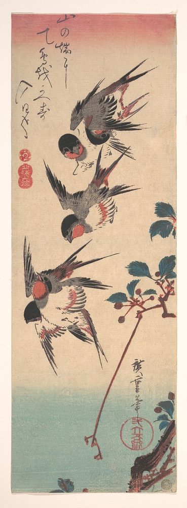 Swallows and Wild Cherry. Original public domain image from the MET museum.