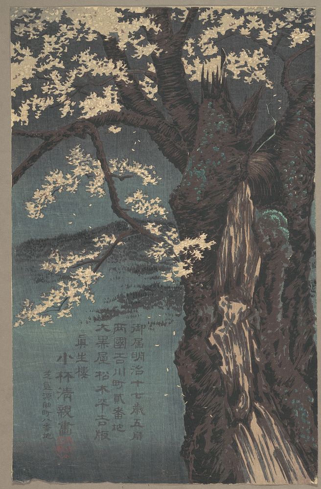 Kobayashi Kiyochika, Cherry Tree (1874). Original public domain image from the MET museum.