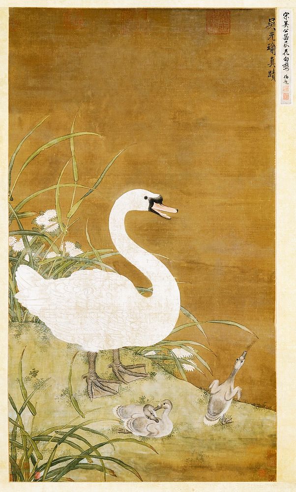 Swan and Cygnets (1080-1104) Japanese illustration. Original public domain image by After Wu Yuanyu from the Minneapolis…