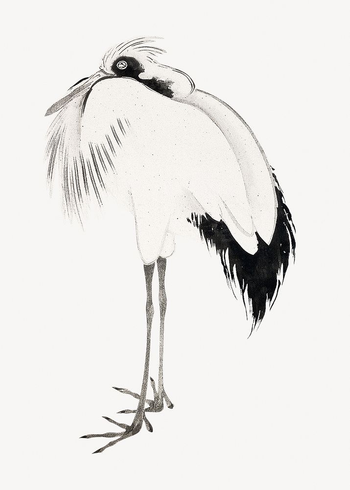 Japanese crane psd.   Remastered by rawpixel. 