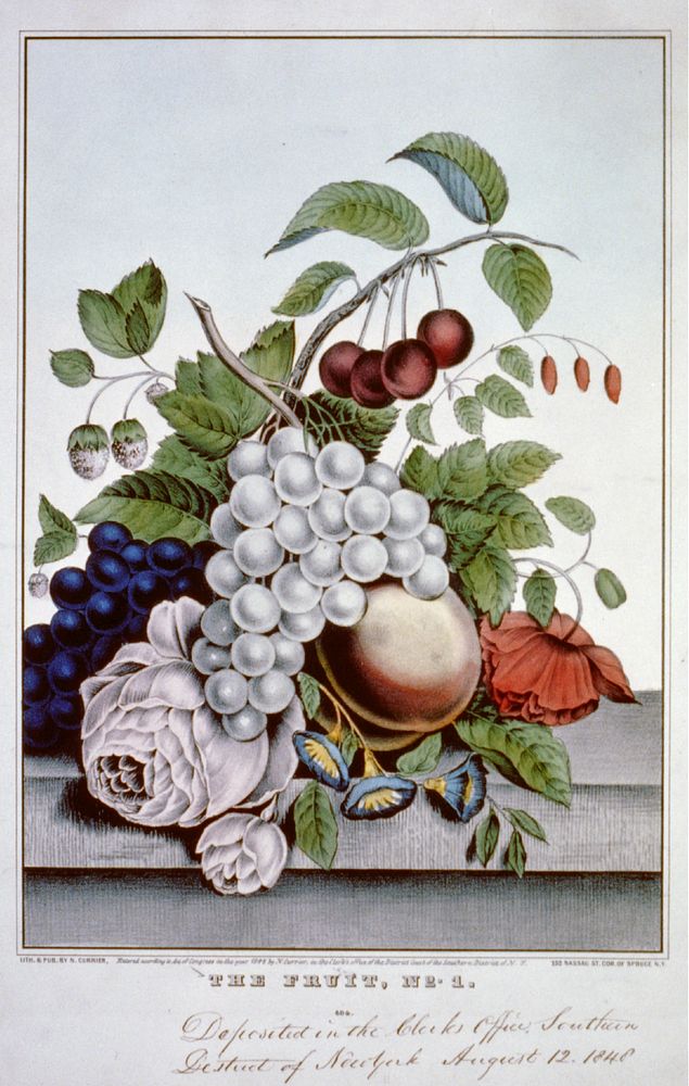 The fruit, no. 1 (1848) by N. Currier