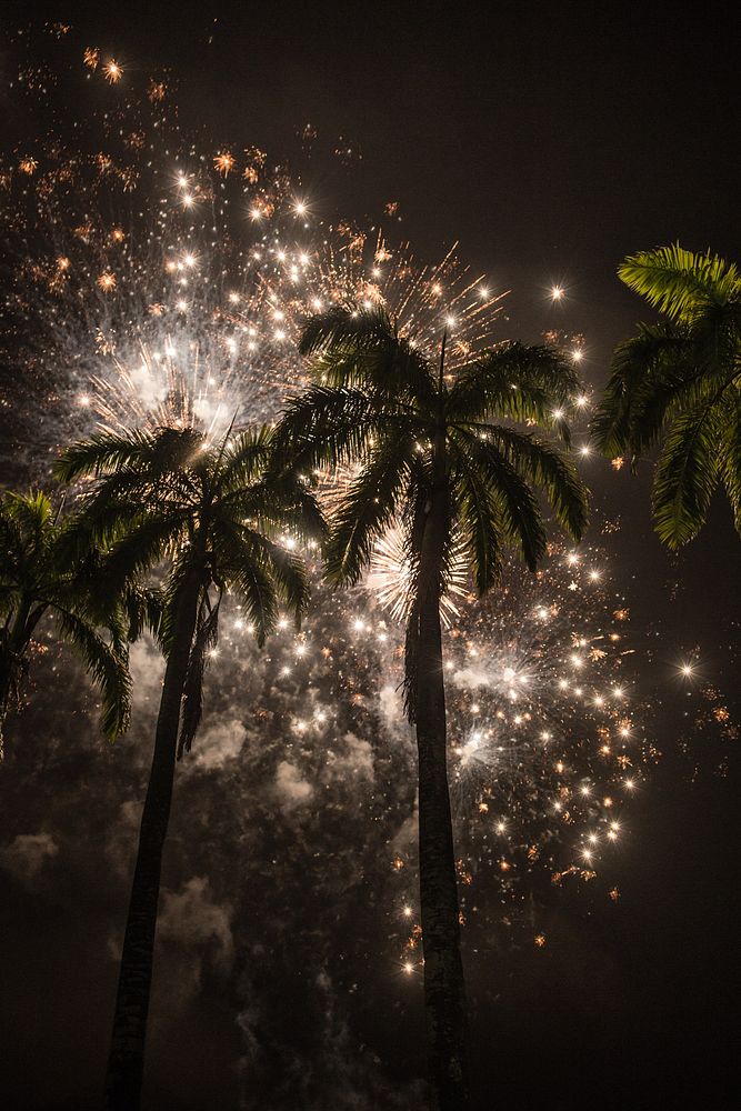 Firework show, tropical, New Year celebration. Original public domain image from Flickr