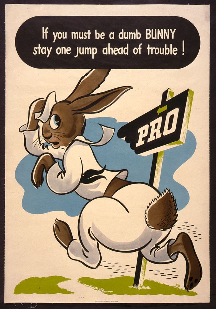 If you must be a dumb bunny stay one jump ahead of trouble!  Bode.