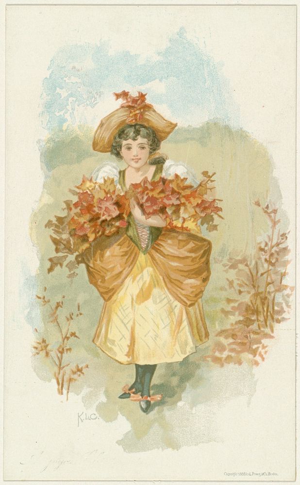             Girl with autumn leaves          