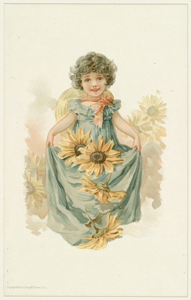             Little girl with sunflowers          