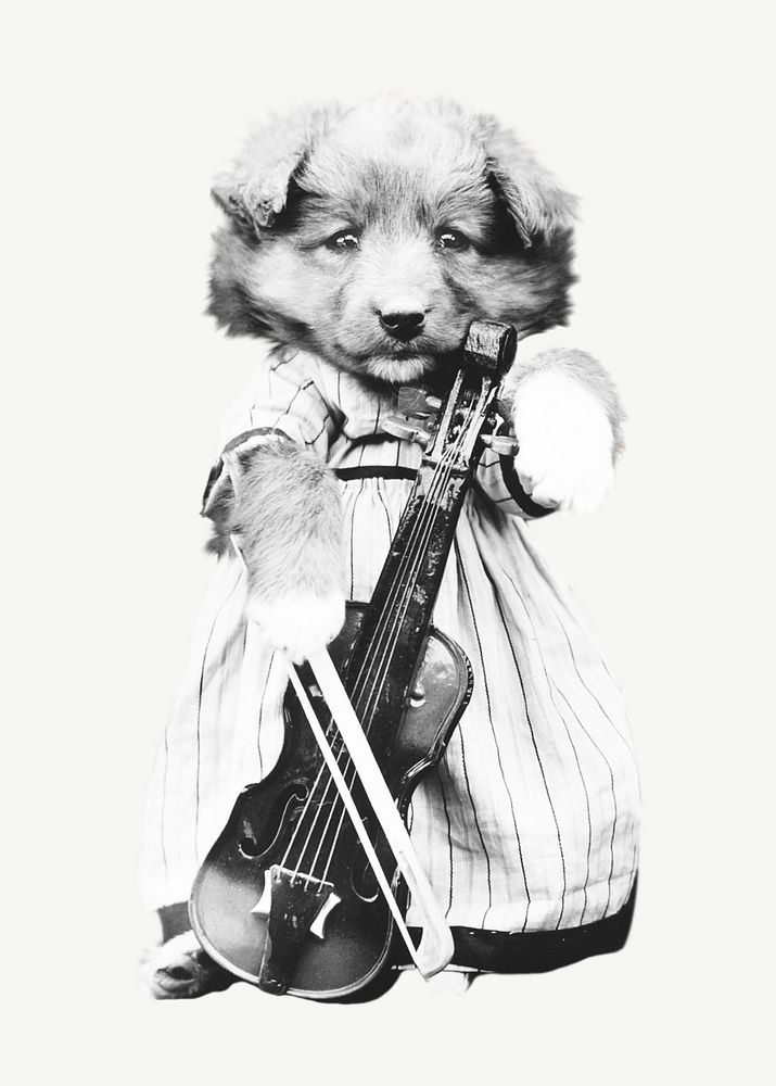 Cute violinist puppy collage element, animal isolated image