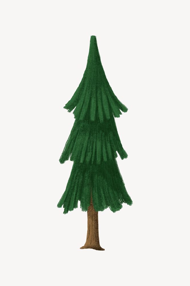 Pine tree, botanical, nature collage element psd