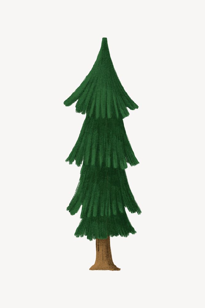 Pine tree, botanical, nature collage element psd