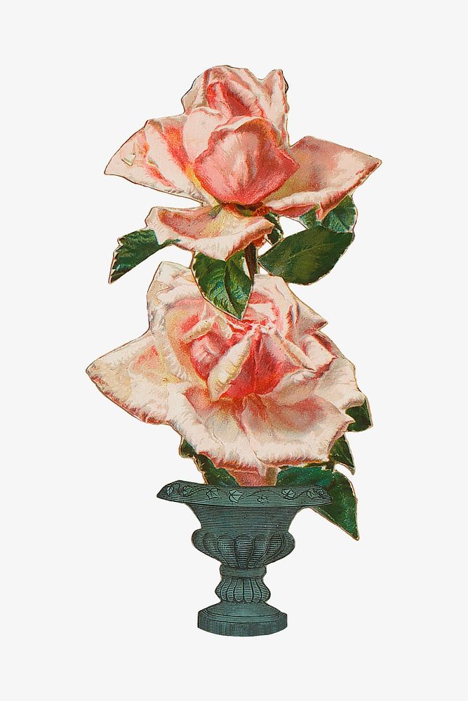 Pink rose illustration. Remastered by rawpixel.