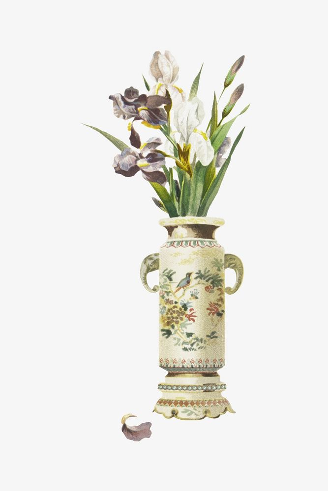 Antique flower vase illustration, vintage design