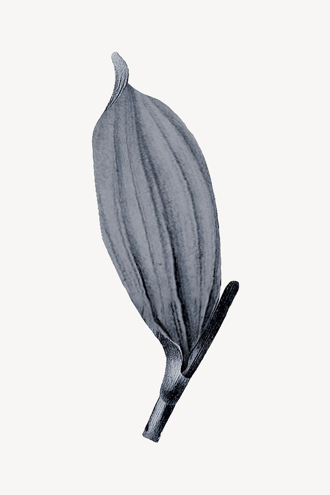 Vintage gray leaf illustration psd