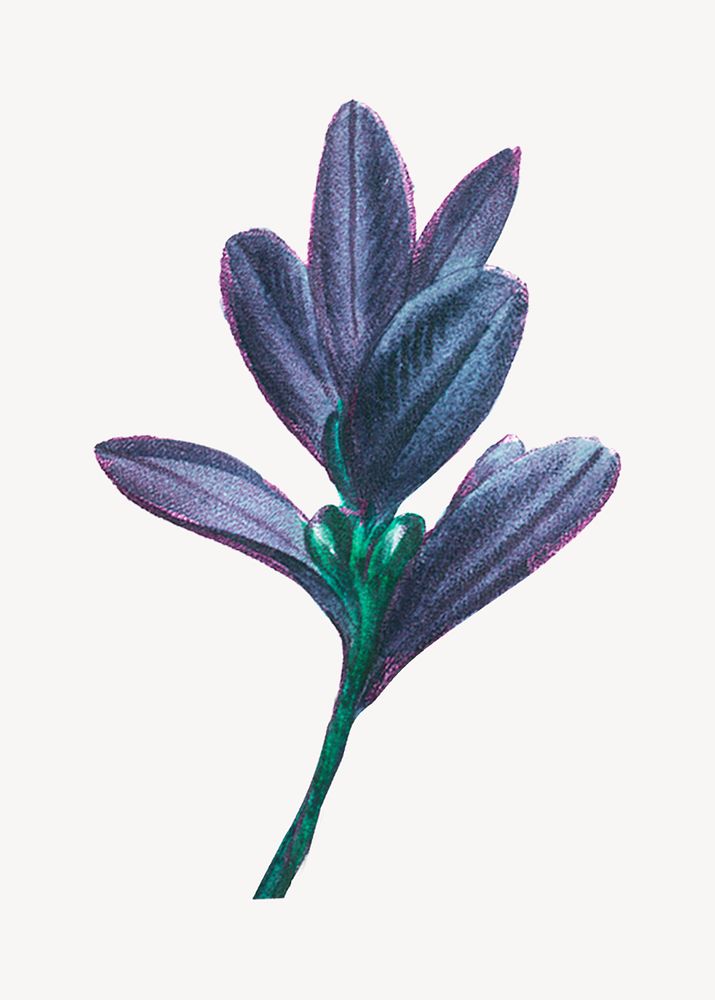Vintage gradient blue leaf illustration psd