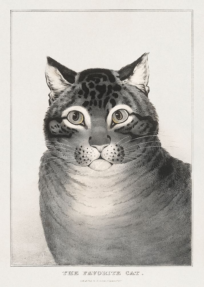 The Favorite Cat (1838&ndash;48) Lithographed by Nathaniel Currier. Original public domain image from The MET Museum.…
