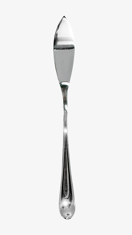 Metal butter knife, isolated object