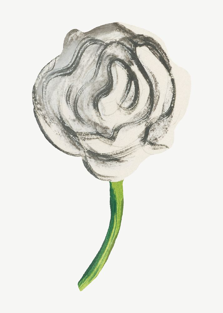 White rose flower illustration collage element psd. Remixed by rawpixel.