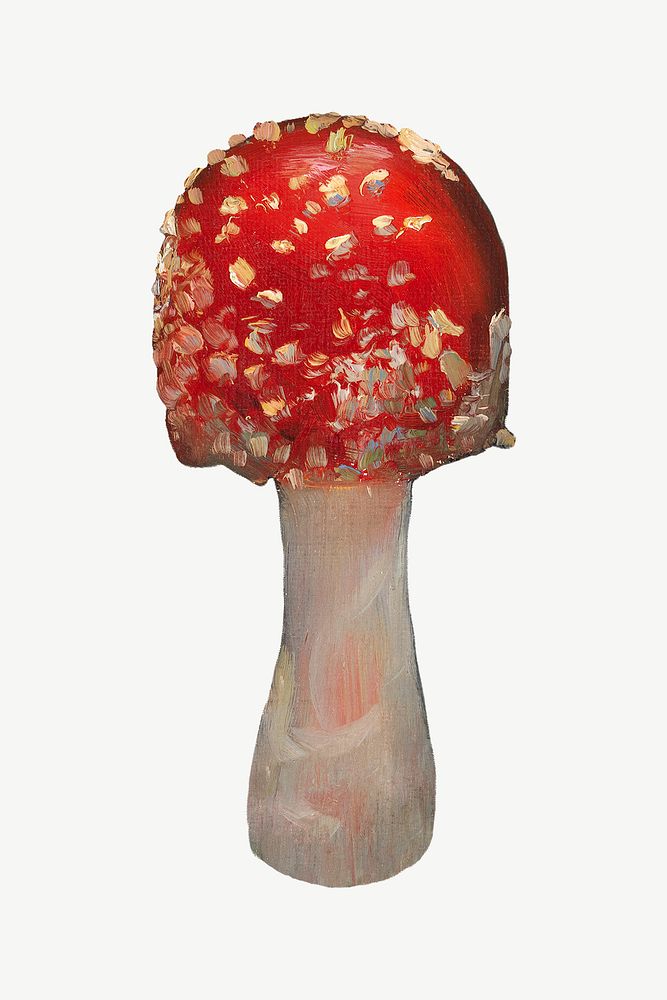 Fly agaric mushroom, vintage botanical illustration by Torsten Wasastjerna psd.  Remixed by rawpixel. 