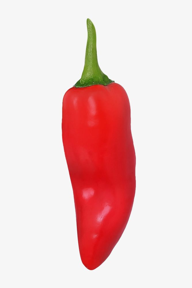 Red chilli pepper Isolated image