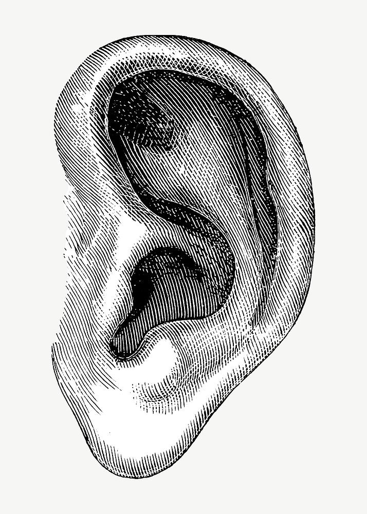Vintage ear, medical illustration psd. Remixed by rawpixel.
