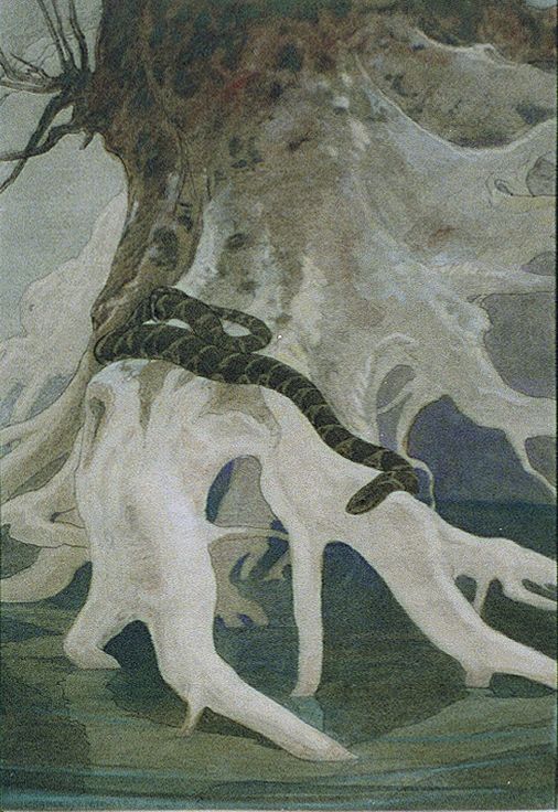 Snake on tree roots above water (between 1890 and 1932) by Charles Livingston Bull