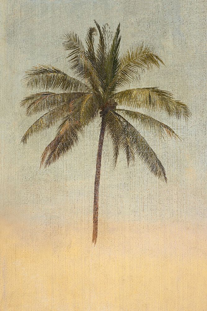 Trunk and top of a palm tree painting by Frederic Edwin Church. Original public domain image from Smithsonian. Digitally…