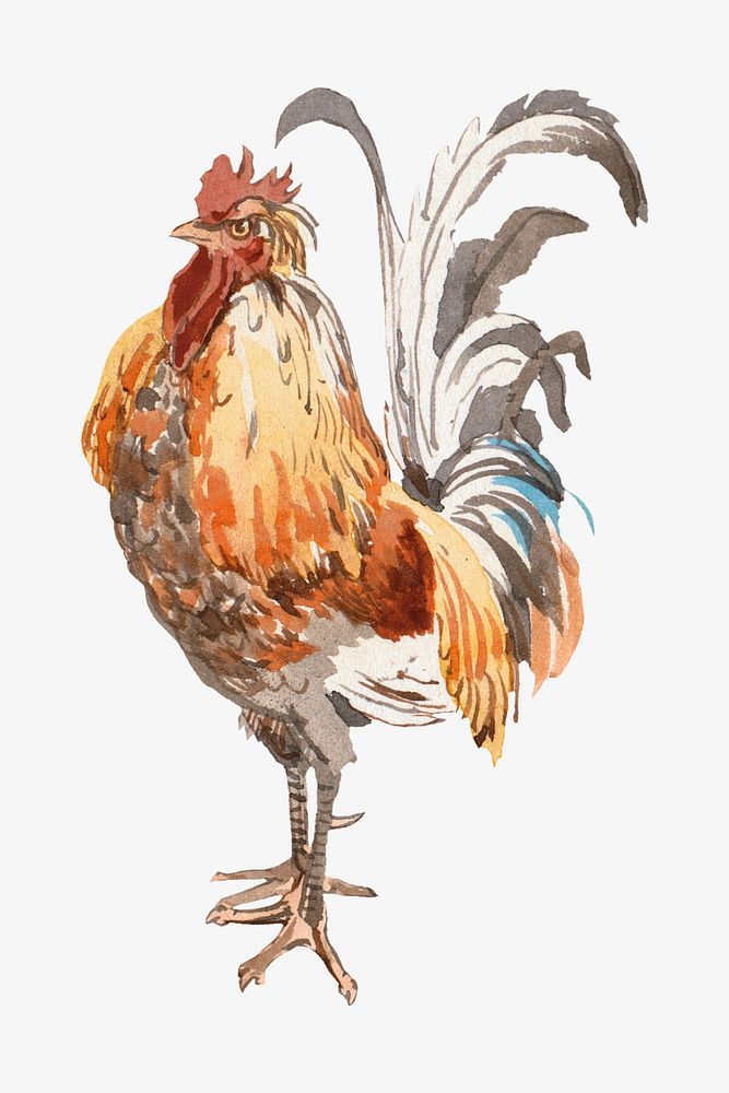 Vintage cock illustration. Remixed by rawpixel.