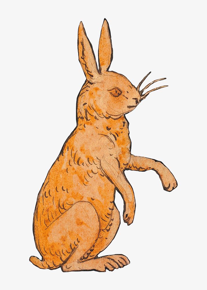 Brown rabbit, vintage animal illustration by P. C. Skovgaard. Remixed by rawpixel.