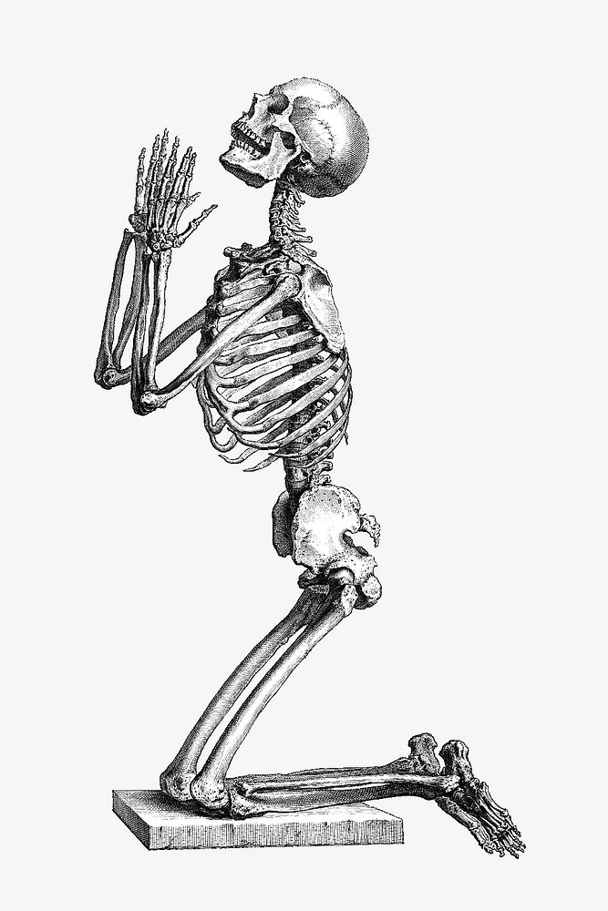 Skeleton kneeling in prayer, vintage illustration by William Cheselden psd. Remixed by rawpixel.