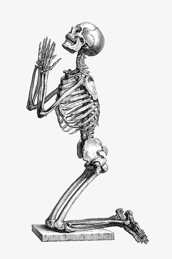 Skeleton kneeling in prayer, vintage illustration by William Cheselden. Remixed by rawpixel.