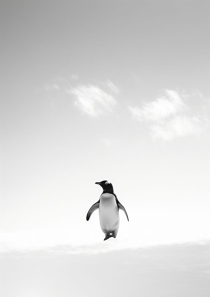 A penguin and the sky animal motion white. AI generated Image by rawpixel.