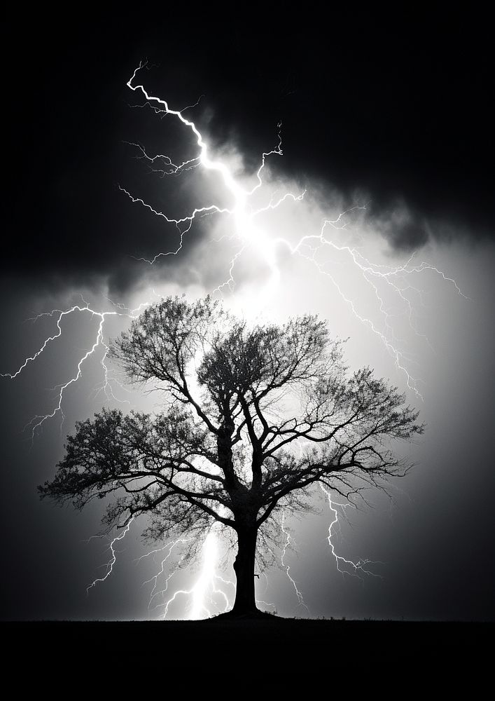Lightning on the tree thunderstorm outdoors nature. AI generated Image by rawpixel.