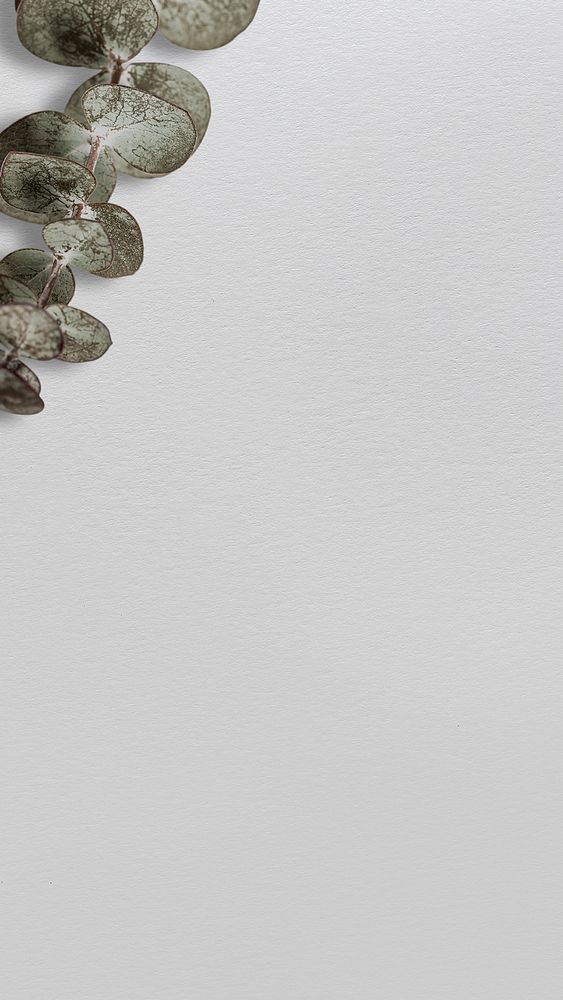 Leaf border iPhone wallpaper, gray background