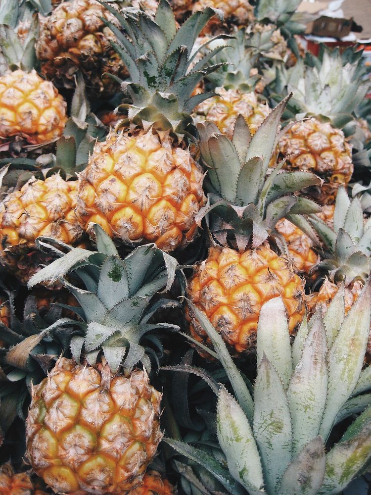 Closeup of small sweet pineapples