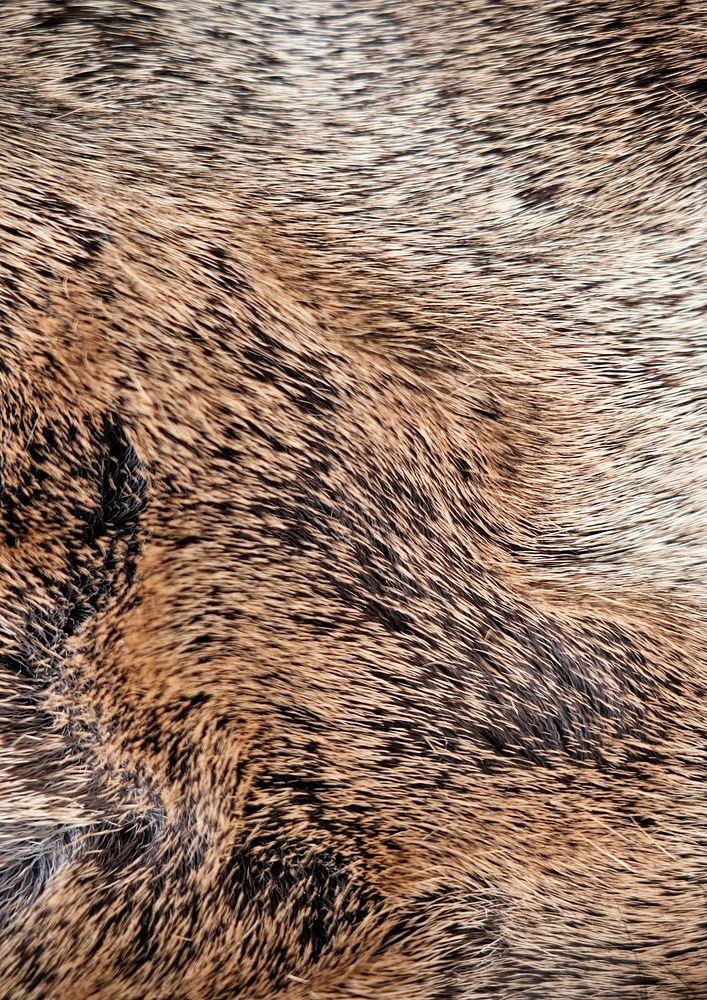 Brown animal carpet texture, close up background