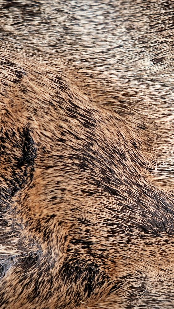 Animal fur texture mobile wallpaper, aesthetic high definition background
