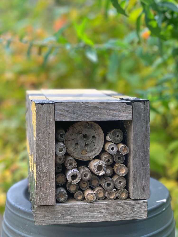 Backyard bee hotelBee hotels are great addition to your garden and are used year round by pollinators.Photo by Jill…
