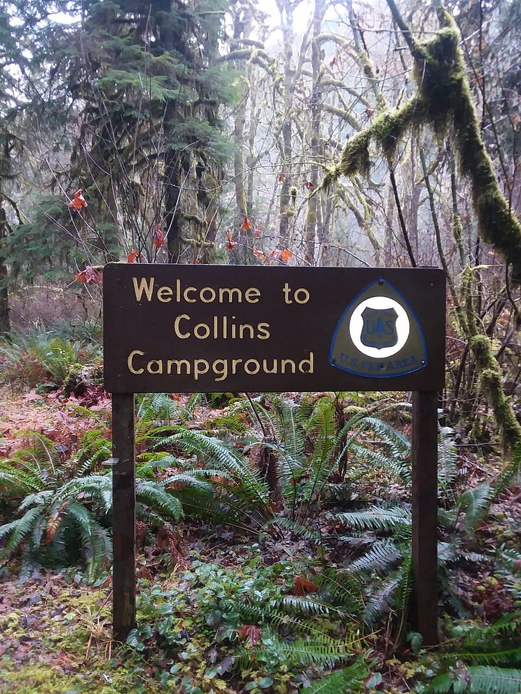 Collins Campground sign. Original public domain image from Flickr