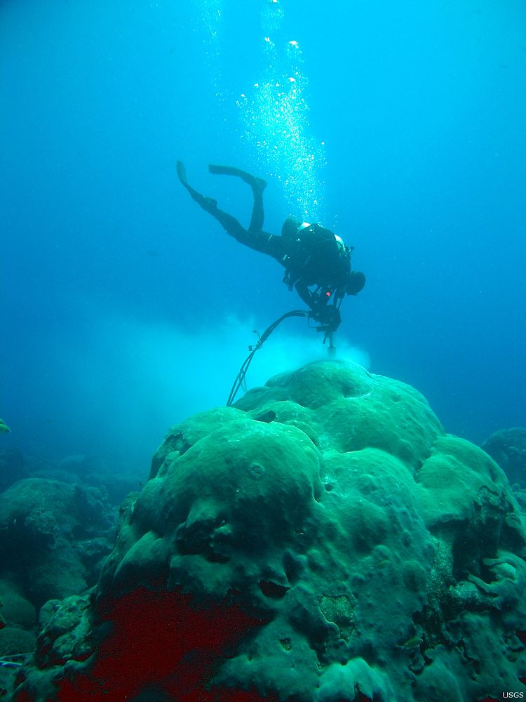 Person diving near coral reef. Original public domain image from Flickr