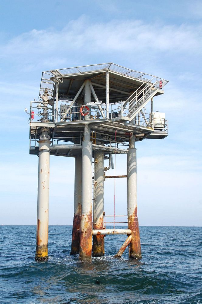 BSEE Responds to Damaged Unmanned Platform in the Gulf of Mexico. January 23, 2015The Bureau of Safety and Environmental…